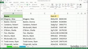 Accelerating cut, copy, paste, and insert | Excel tips | lynda.com