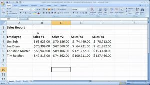 Excel Tips 15 – Add Comments, Remove Comments, Find Comments, and Edit Comments in Excel 2007