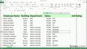 Using the REPT function to represent data visually | Excel tips | lynda.com