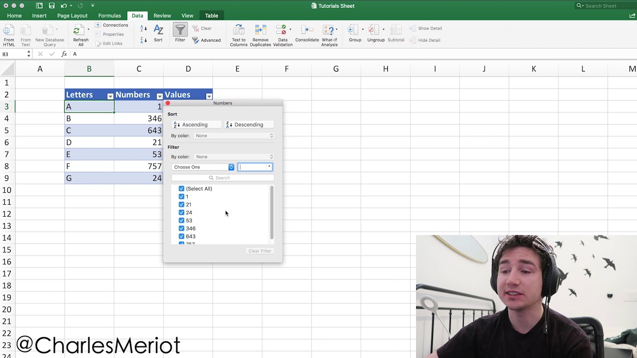 Excel Tips & Tricks: Filters