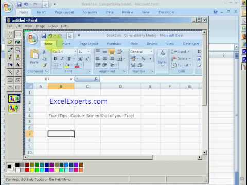 ExcelExperts.com – Excel Tips – Capture Screen Shot of your Excel