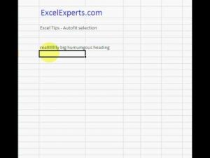 ExcelExperts.com – Excel Tips Autofit selection