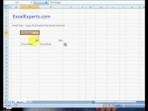 ExcelExperts.com – Excel Tips – Copy And Paste The Same Formula