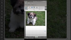Excel tip to remove image background