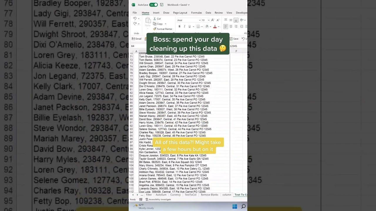 How to clean data in seconds using text to columns. ? #excel #sheets