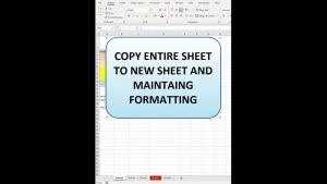 Copy sheet and keep fonts, formatting, and formulas